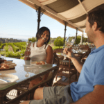 atrmosphere experiance in winery